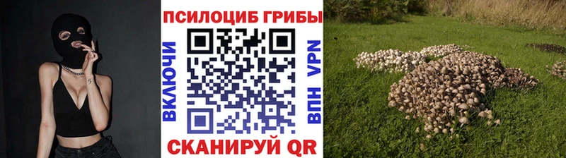 Галлюциногенные грибы Psilocybine cubensis omg ONION Элиста